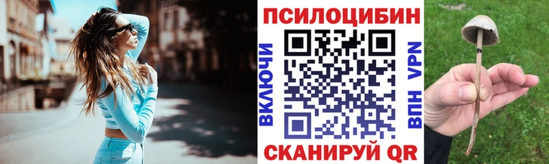 Галлюциногенные грибы Psilocybine cubensis  Белово 