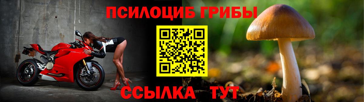 Галлюциногенные грибы Magic Shrooms  Вход с VPN  Белово 